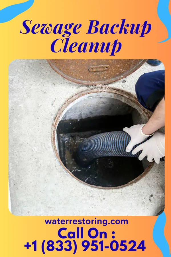 Sewage Backup Cleanup in Coatesville, IN